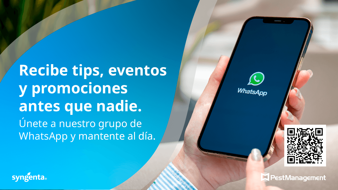 Recibe tips, eventos y promociones antes que nadie