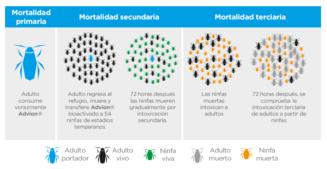 Mortalidad primaria