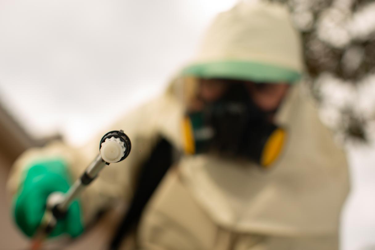 controlador de plagas