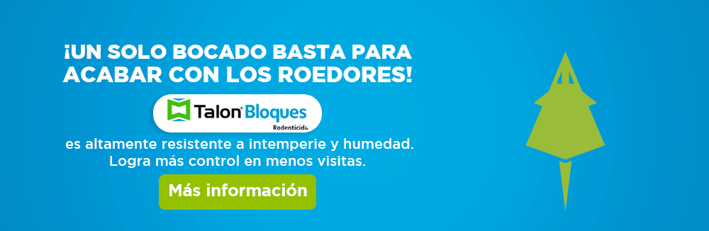 controlar roedores con talon bloques 